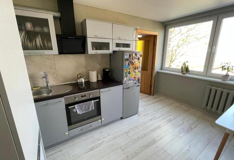 1 Bedroom Apartment Lake View, Central Place With Lake View