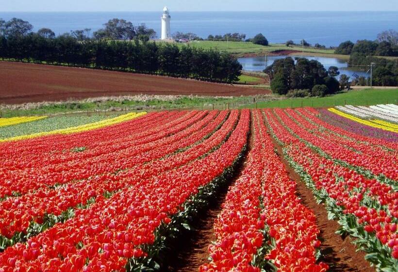 اتاق استاندارد با چشمانداز دریا, Seascape Beach House