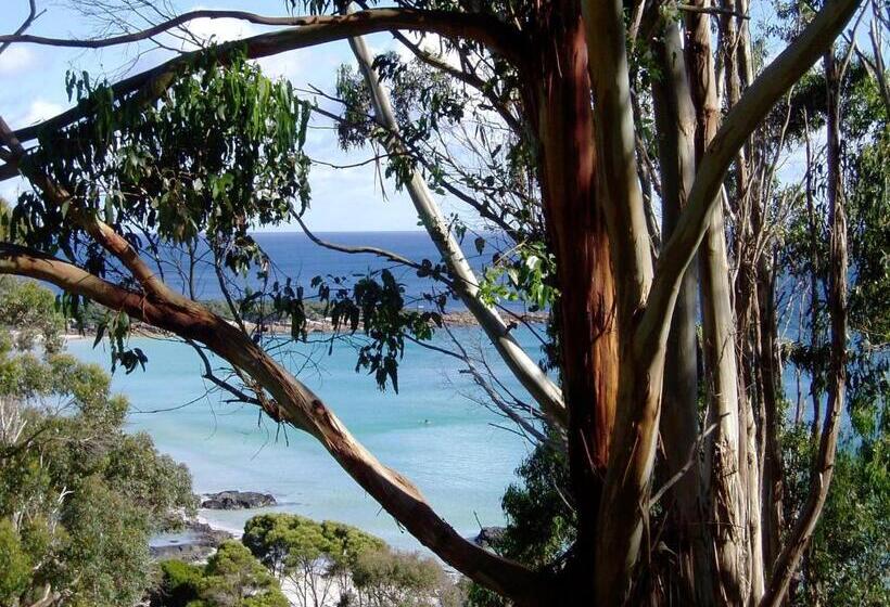 اتاق استاندارد با چشمانداز دریا, Seascape Beach House