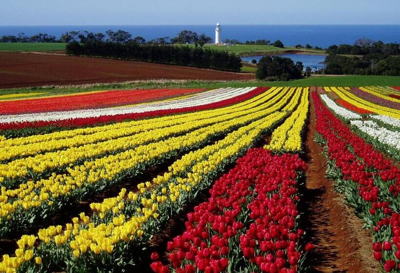 آپارتمان 1 خوابه, Seascape Beach House