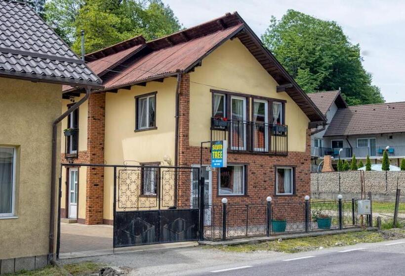 스탠다드 룸 공동 욕실, Silver Tree