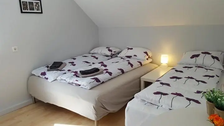 اتاق استاندارد با سرویس بهداشتی مشترک, Guesthouse 43