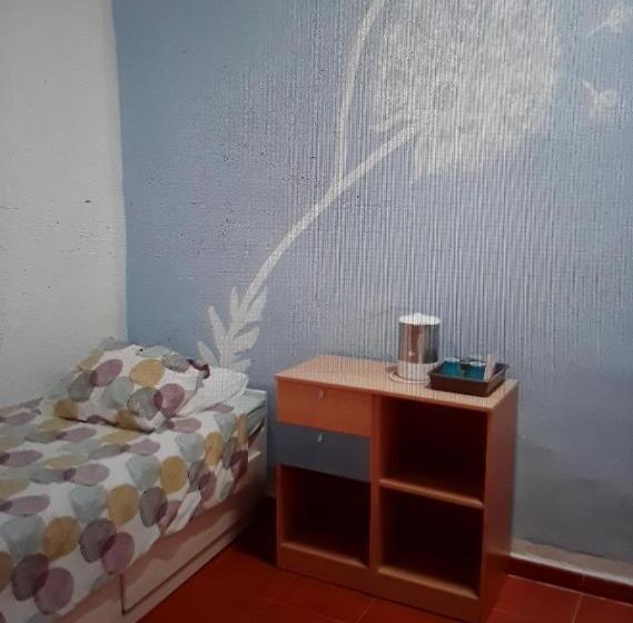 Quarto Economy, Alma Libre Lanzarote