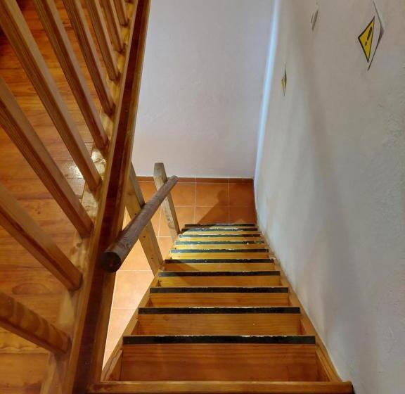 Quarto Economy, Alma Libre Lanzarote