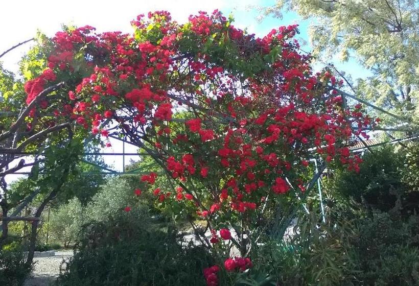 Апартаменты 1 Спальня, Mas A 4 Mains