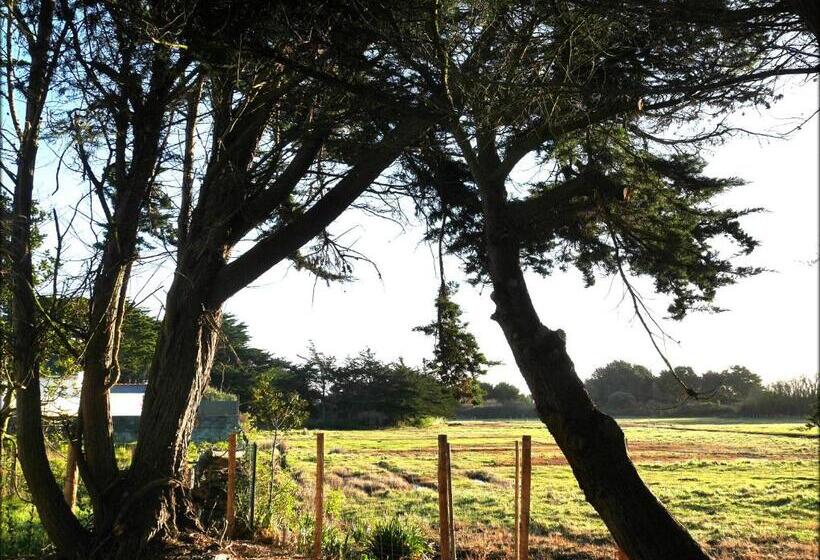 شقة غرفة واحدة مطلة على البحر, Appartement Roc H Avel   Front De Mer, Vue Sur Mer Et Jardin Ensoleillé Sans Vis à Vis