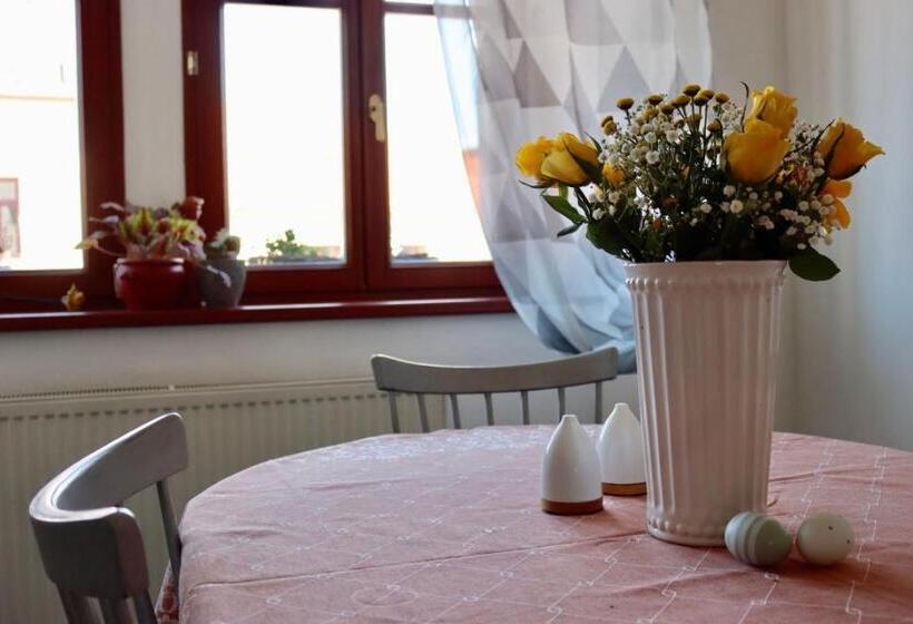 חדר דלוקס, Penzion U Kapra