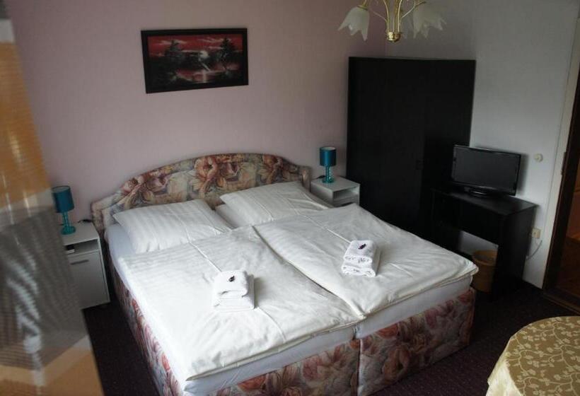 标准房带园景, Corso