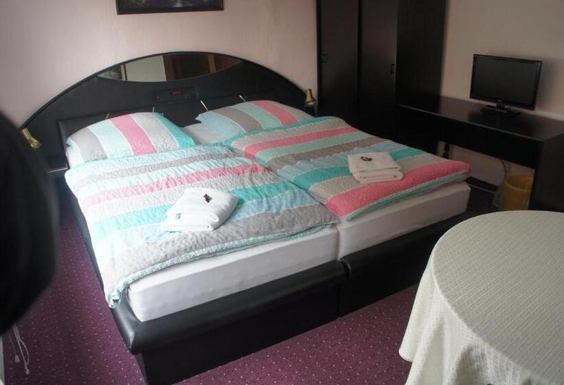 标准房带园景, Corso