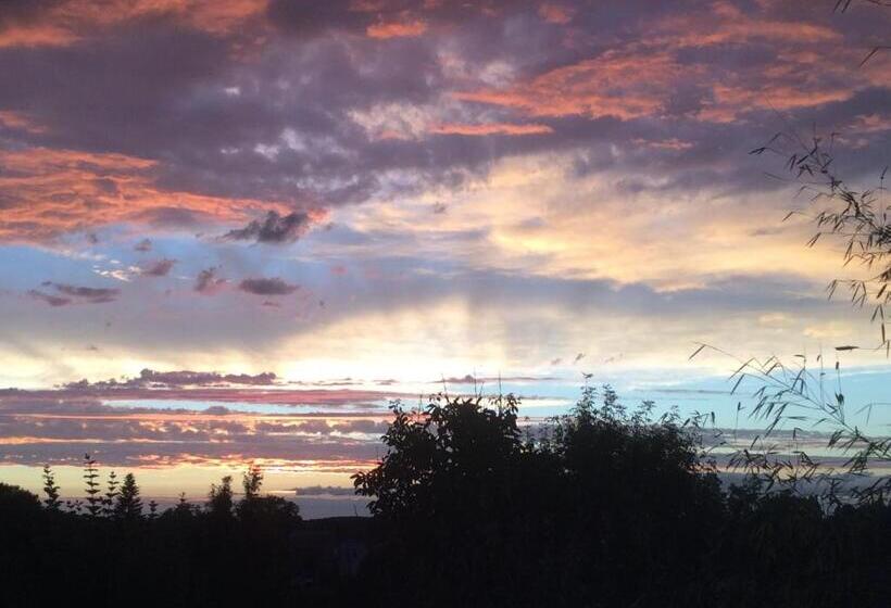 スタンダードスタジオ, Ecrin De Verdure