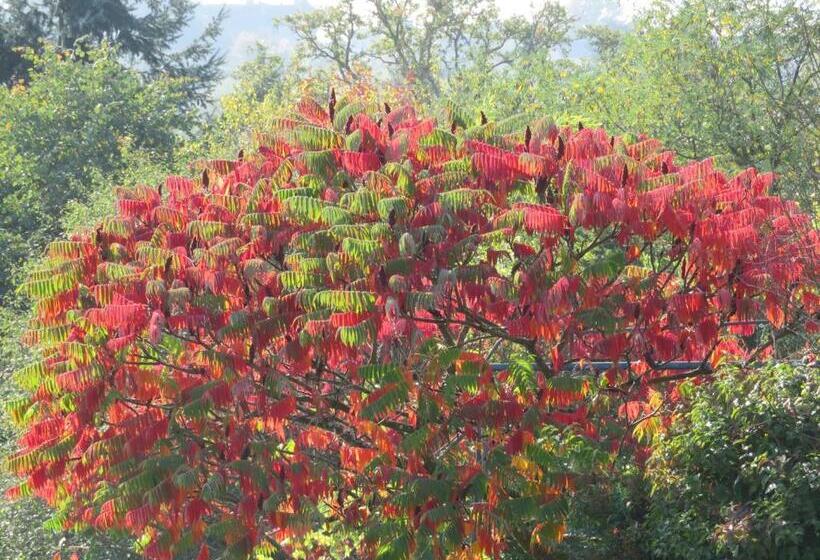 Standard room with outdoor bath, Ecrin De Verdure