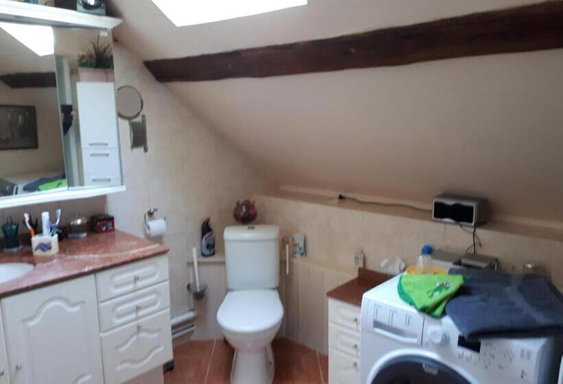 Номер Стандарт Совместная Ванная, La Crapounette