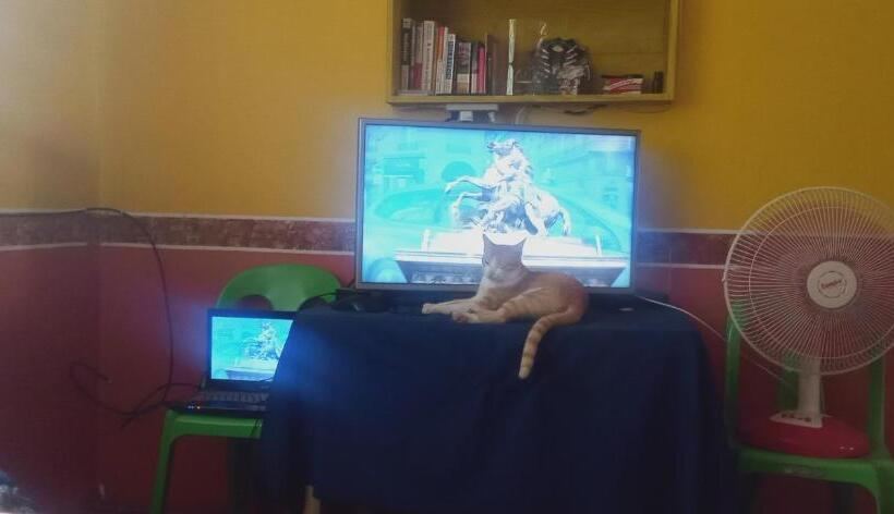 اتاق اکونومی, Riverside At Aninuan Accommodation And Food