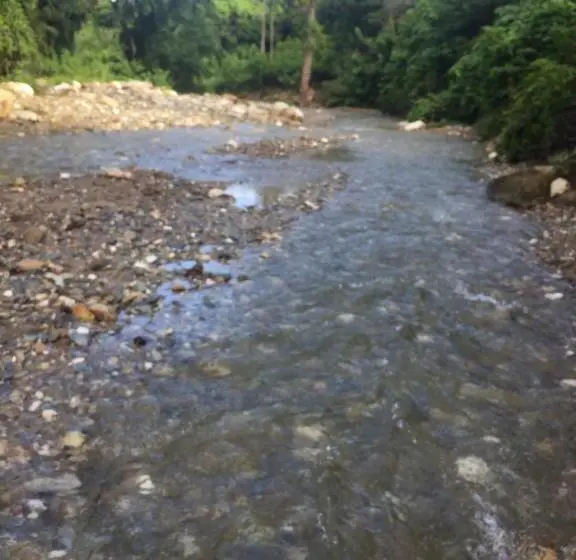 اتاق اکونومی یک تخته, Riverside At Aninuan Accommodation And Food