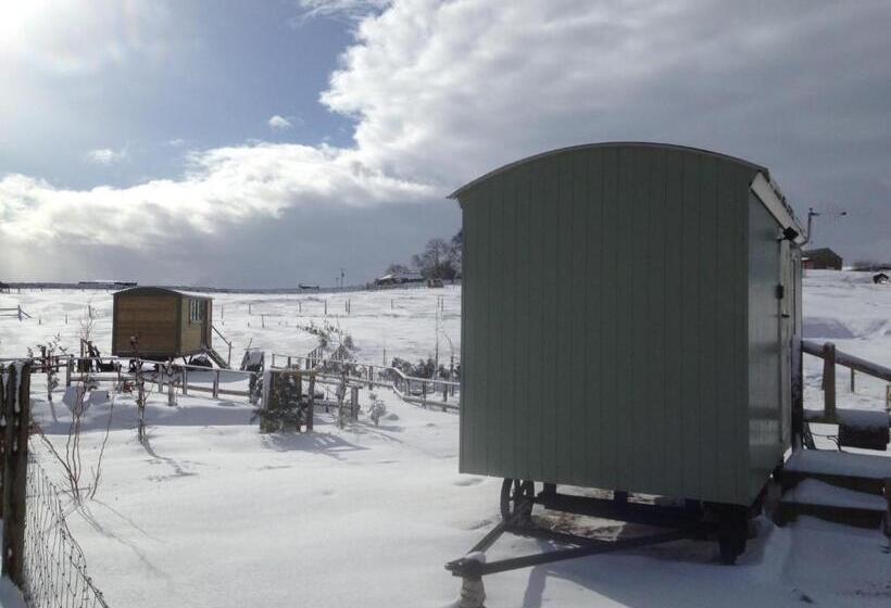 בית, חדר שינה 1, The Buteland Stop Rosie Off Grid Shepherds Hut
