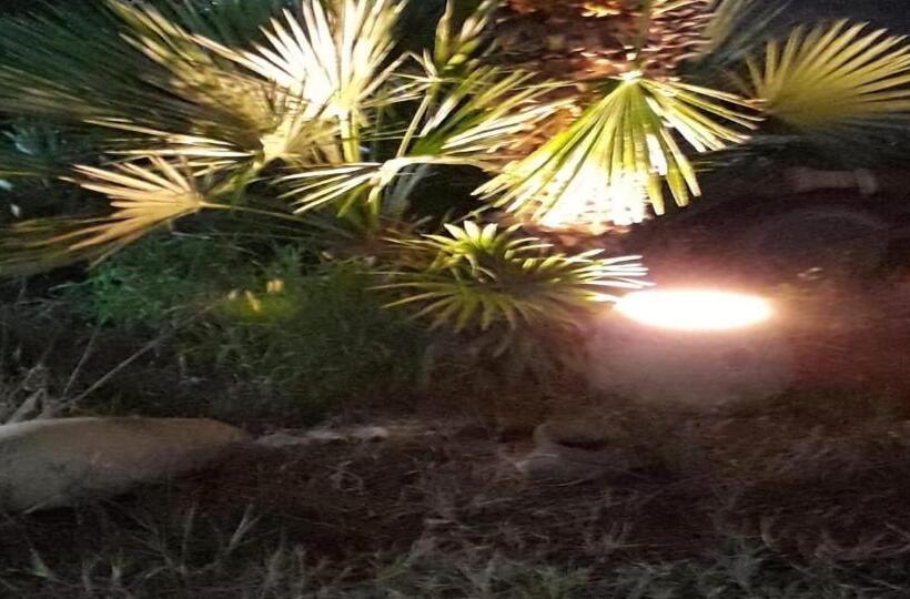 غرفة قياسية, Le Due Palme