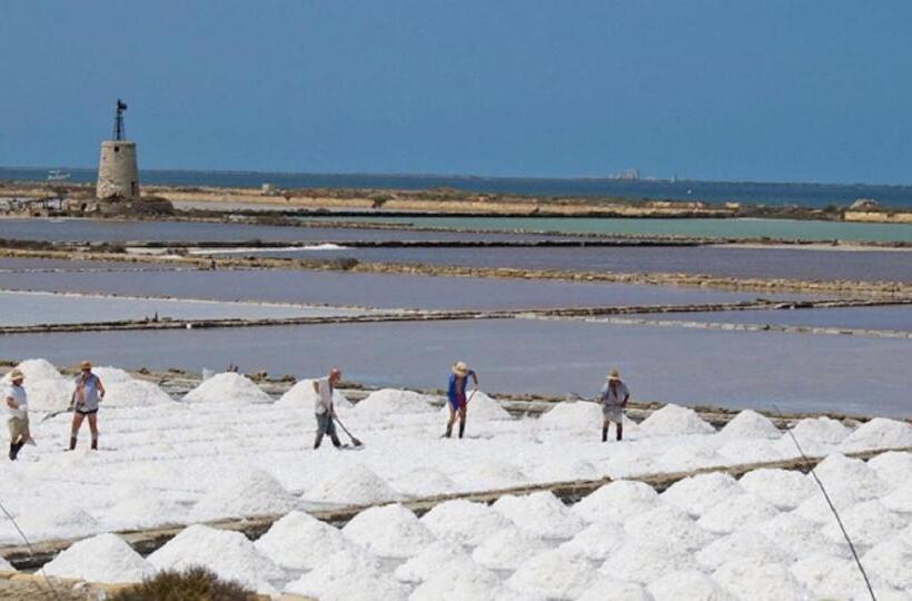 غرفة قياسية, Le Due Palme