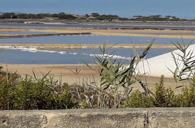 غرفة قياسية, Le Due Palme