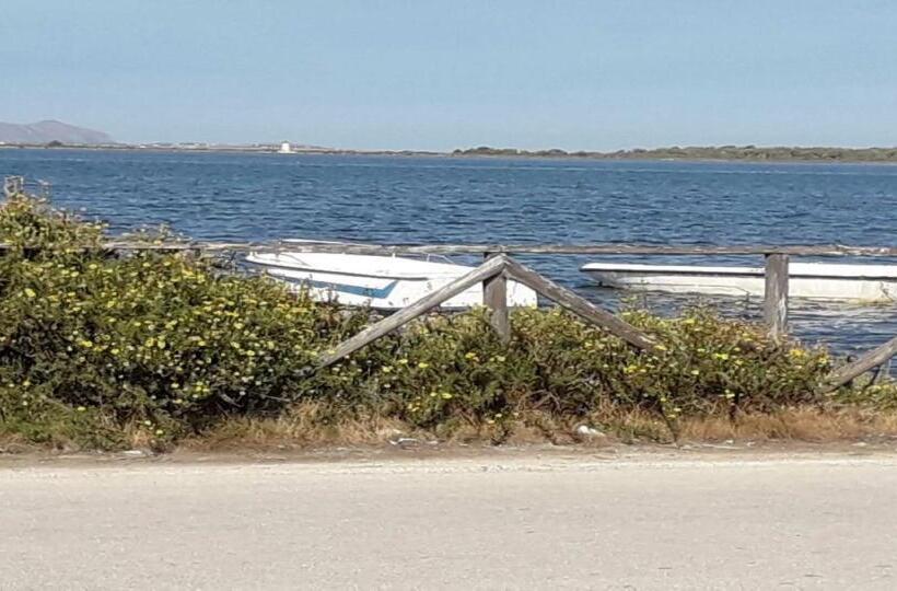 غرفة قياسية, Le Due Palme