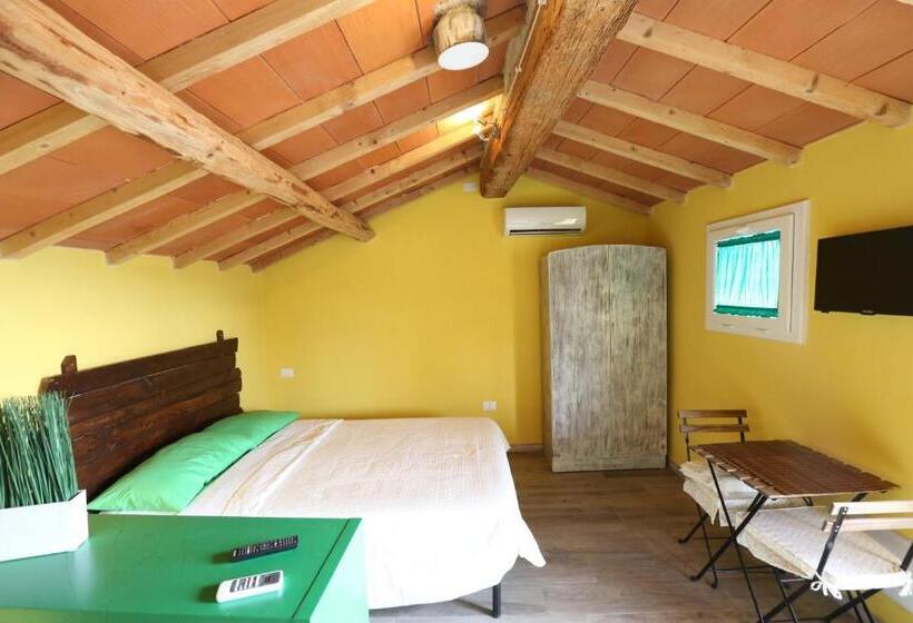 استودیوی استاندارد, B&b Corso Italia 58