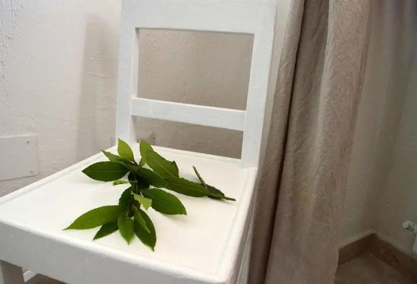 スタンダードルーム, B&b Profumo Di Alloro