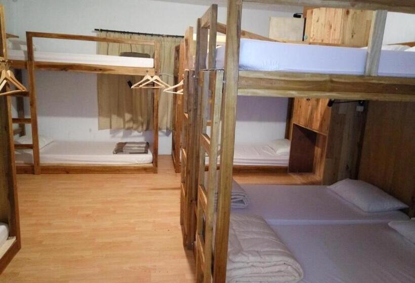 Кровать в Общей Комнате, Tani Jiwo Hostel