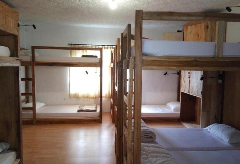 מיטה בחדר משותף, Tani Jiwo Hostel