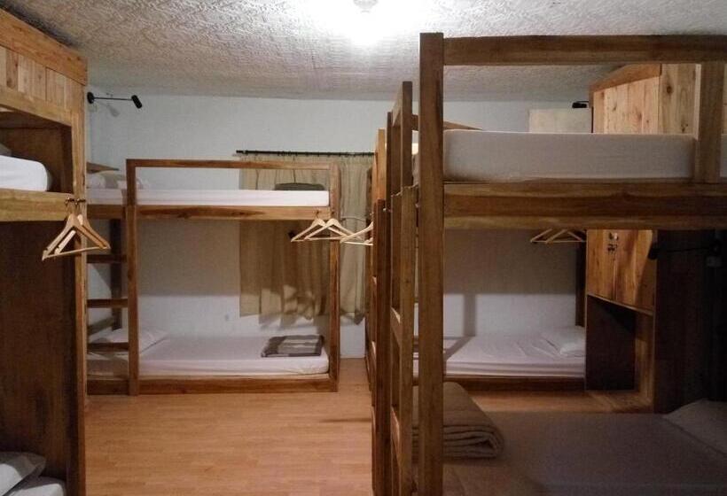 מיטה בחדר משותף, Tani Jiwo Hostel