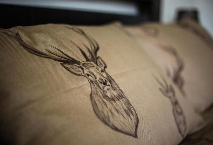 غرفة ديلوكس سرير كينج, Whitehouse B&b