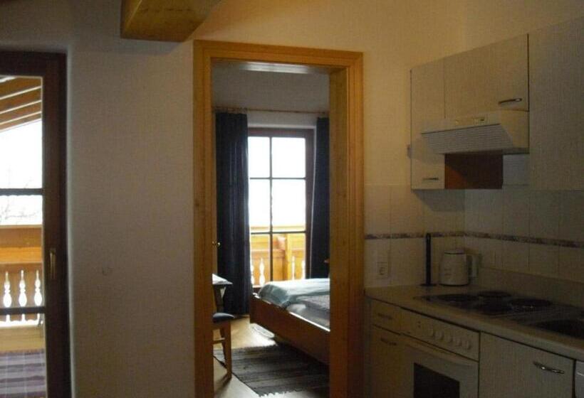 آپارتمان 2 خوابه, Grubhof Weissenbacher