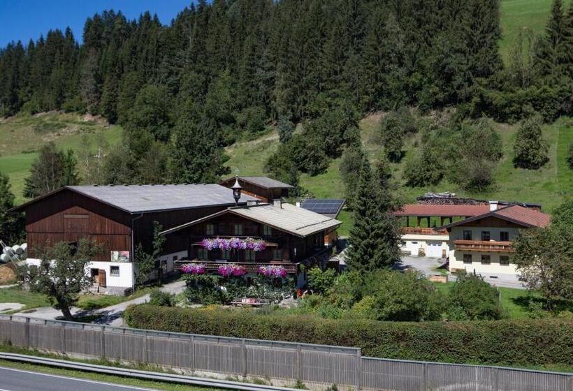 اتاق استاندارد با بالکن, Grubhof Weissenbacher