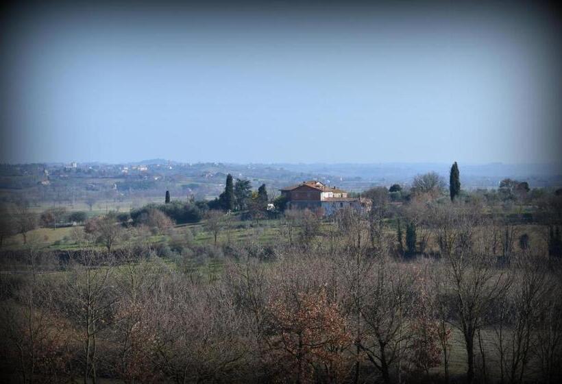 キングサイズベッドのスタンダードルーム, Elisabeth House