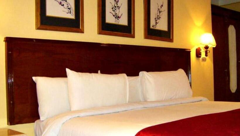 غرفة قياسية فردية, Alexandria Mediterranean Suites