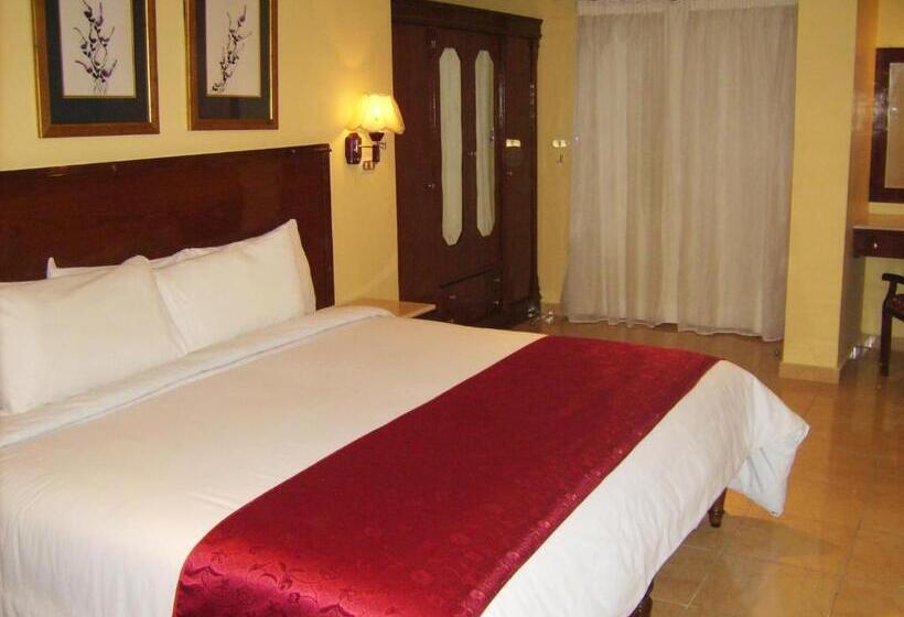 اتاق استاندارد یک نفره, Alexandria Mediterranean Suites