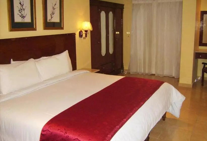 اتاق استاندارد یک نفره, Alexandria Mediterranean Suites