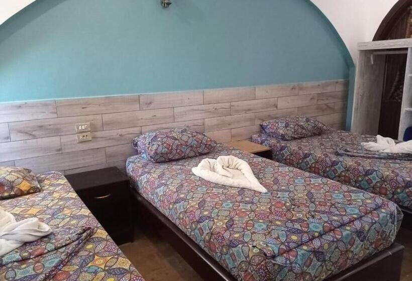 اتاق استاندارد, Dahab Divers