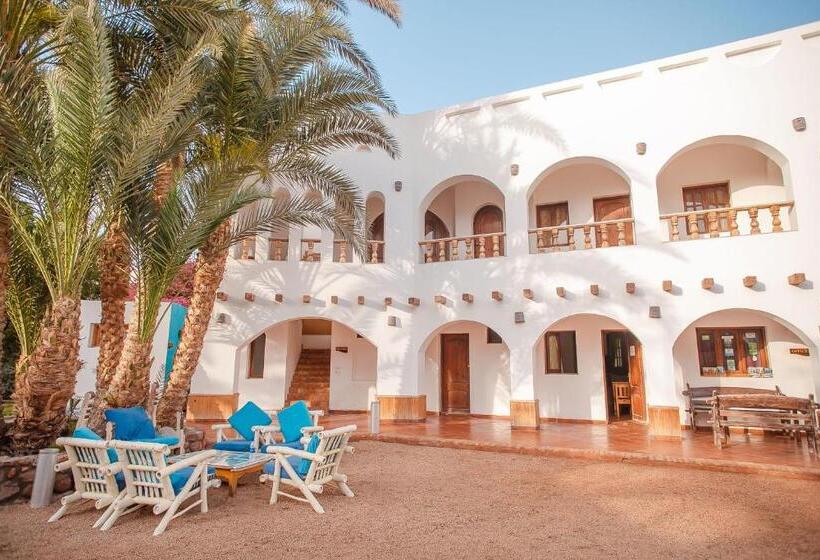 اتاق استاندارد, Dahab Divers