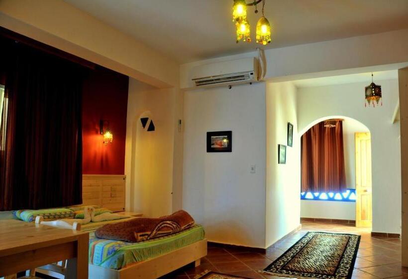 سوییت جونیور, Dahab Divers