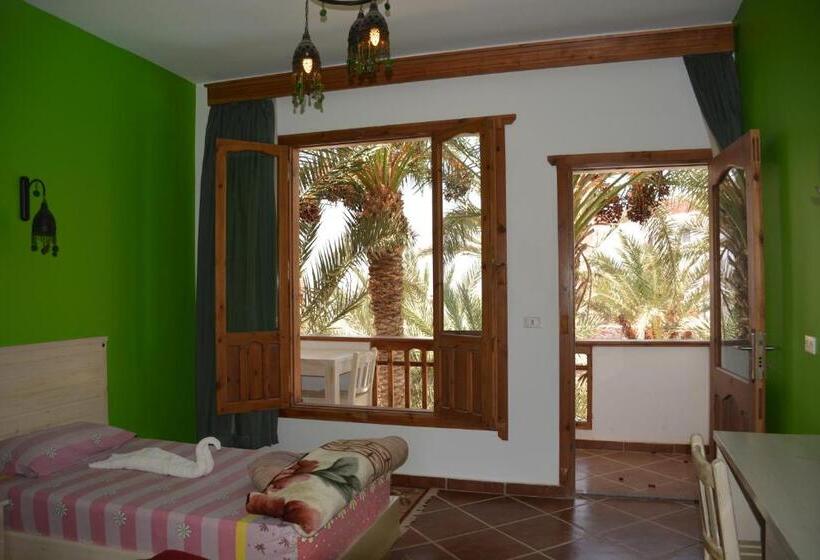 اتاق استاندارد سه نفره, Dahab Divers