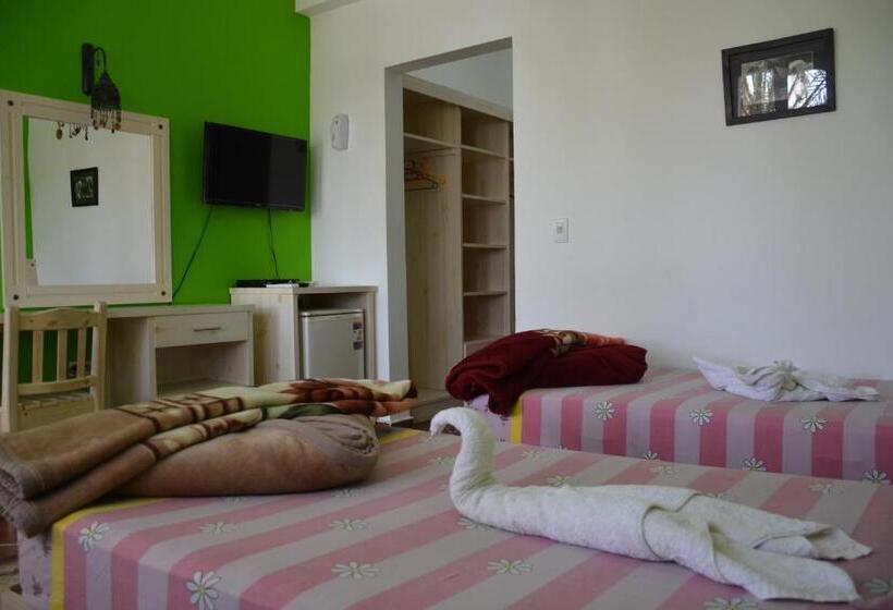 اتاق استاندارد سه نفره, Dahab Divers