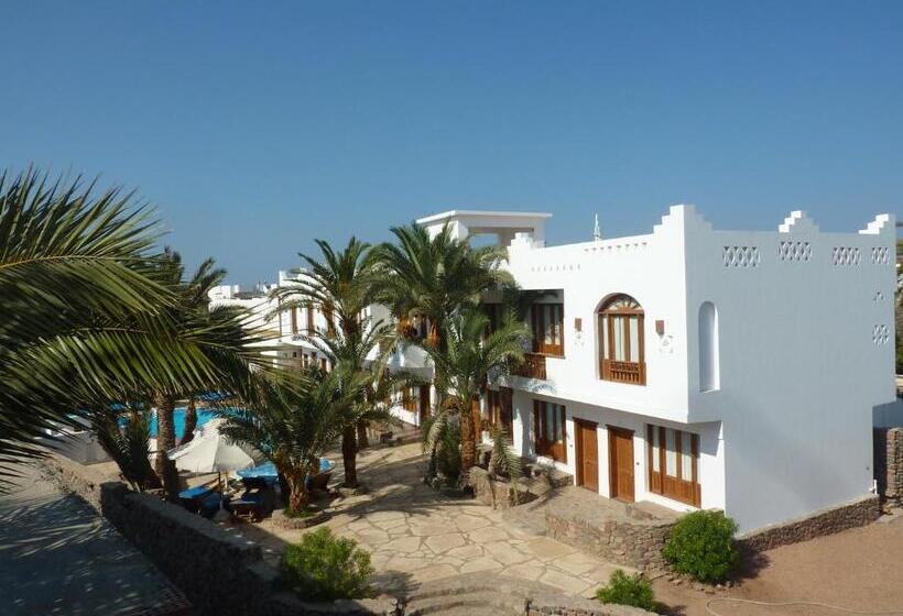 اتاق سوپریور در طبقه همکف, Dahab Divers