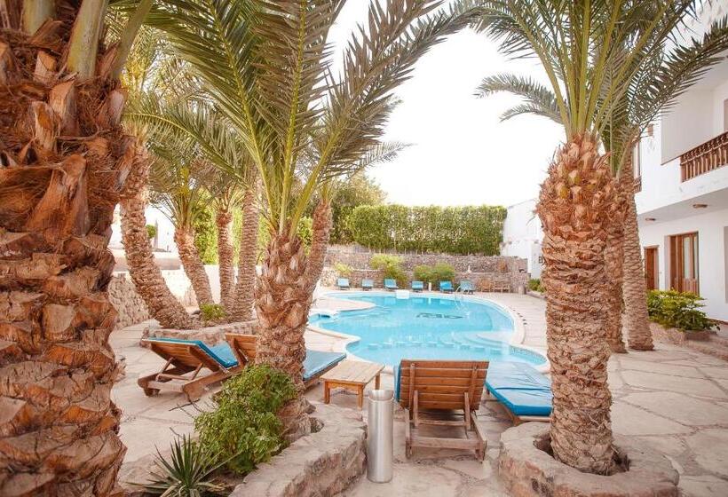 اتاق سوپریور در طبقه همکف, Dahab Divers