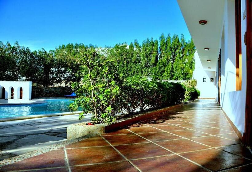 اتاق سوپریور در طبقه همکف, Dahab Divers