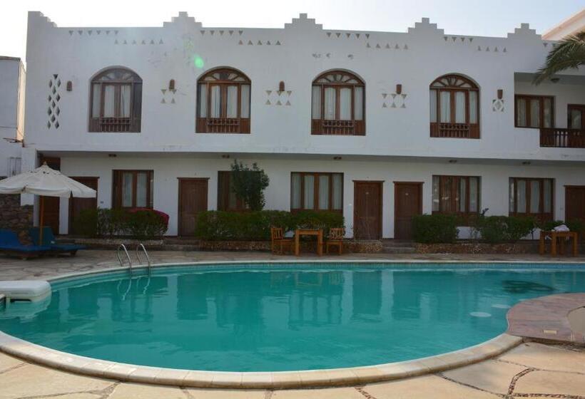 اتاق سوپریور با چشمانداز استخر, Dahab Divers