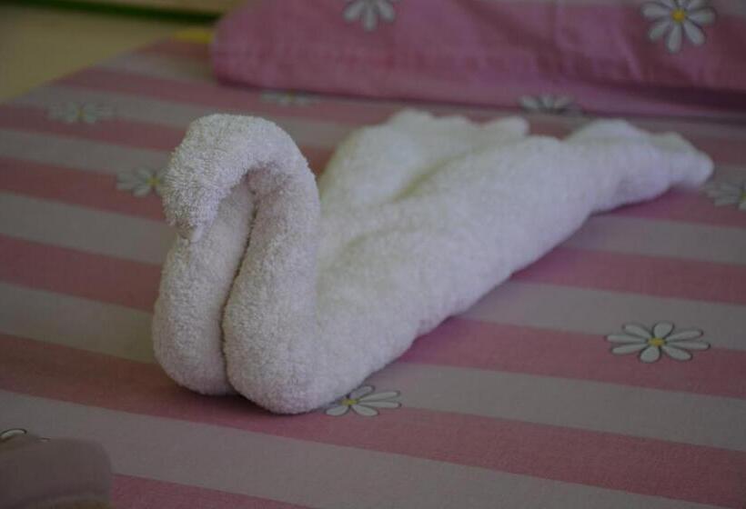 اتاق سوپریور با چشمانداز استخر, Dahab Divers