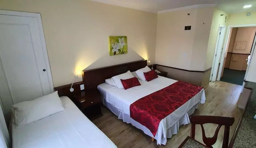 スタンダードルーム, Dan Inn Campinas Cambuí Um Hotel Clássico Em Campinas