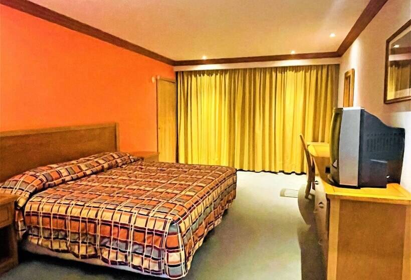 Quarto Estandar, Florencia By Marho