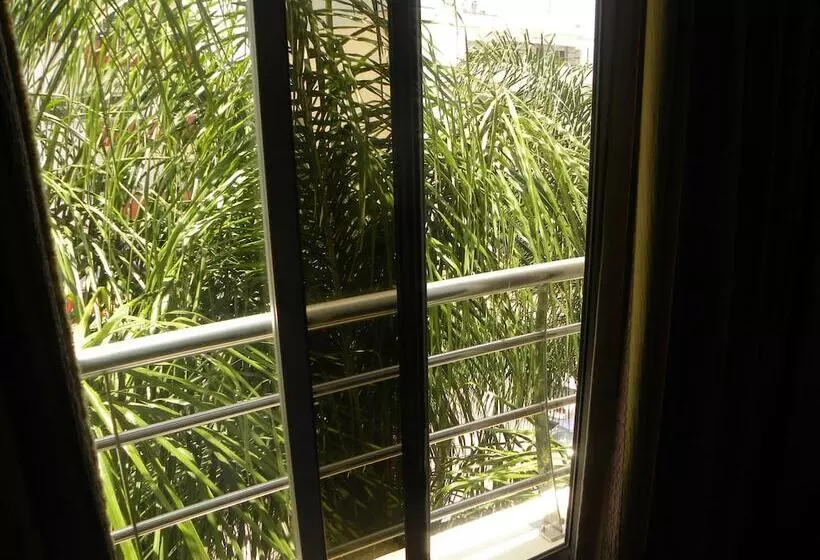 اتاق استاندارد یک نفره, Rive