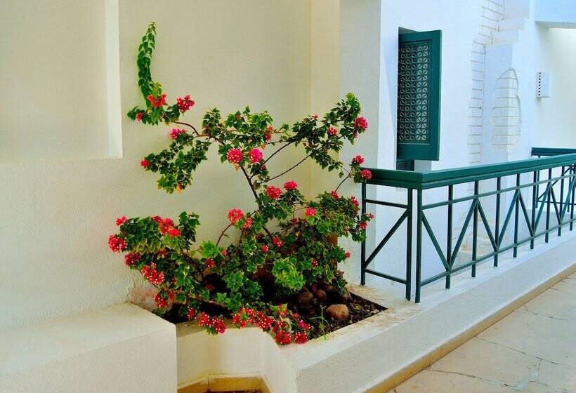 חדר סטנדרט עם מיטת קווין, JAZ Neo Naama Bay