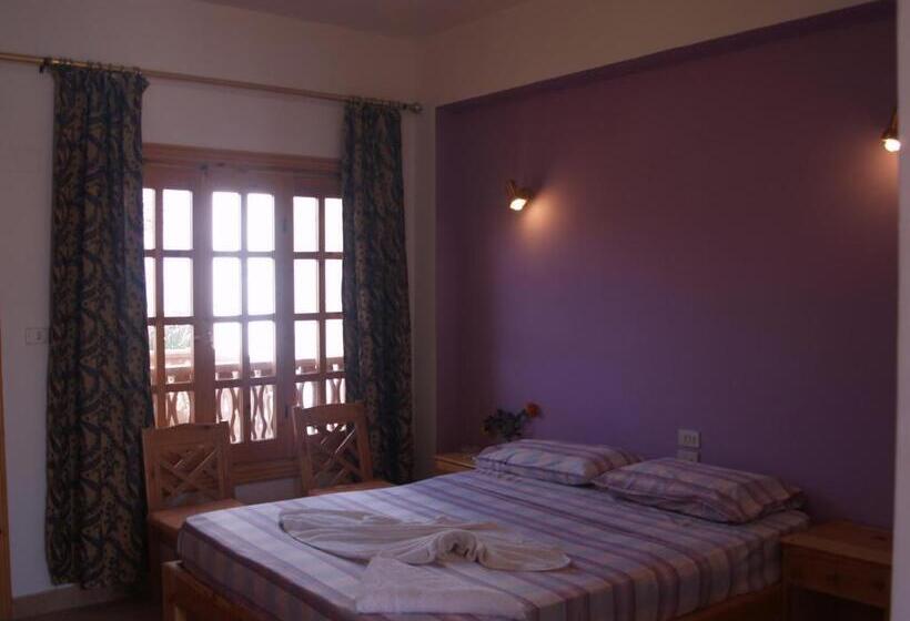 اتاق لوکس, Star Of Dahab